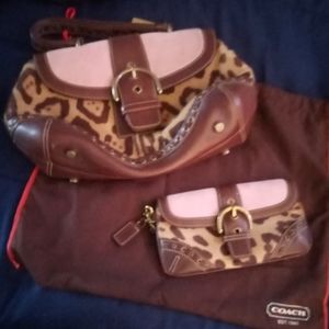 Coach Matching Set: mini Leopard Bag & wallet